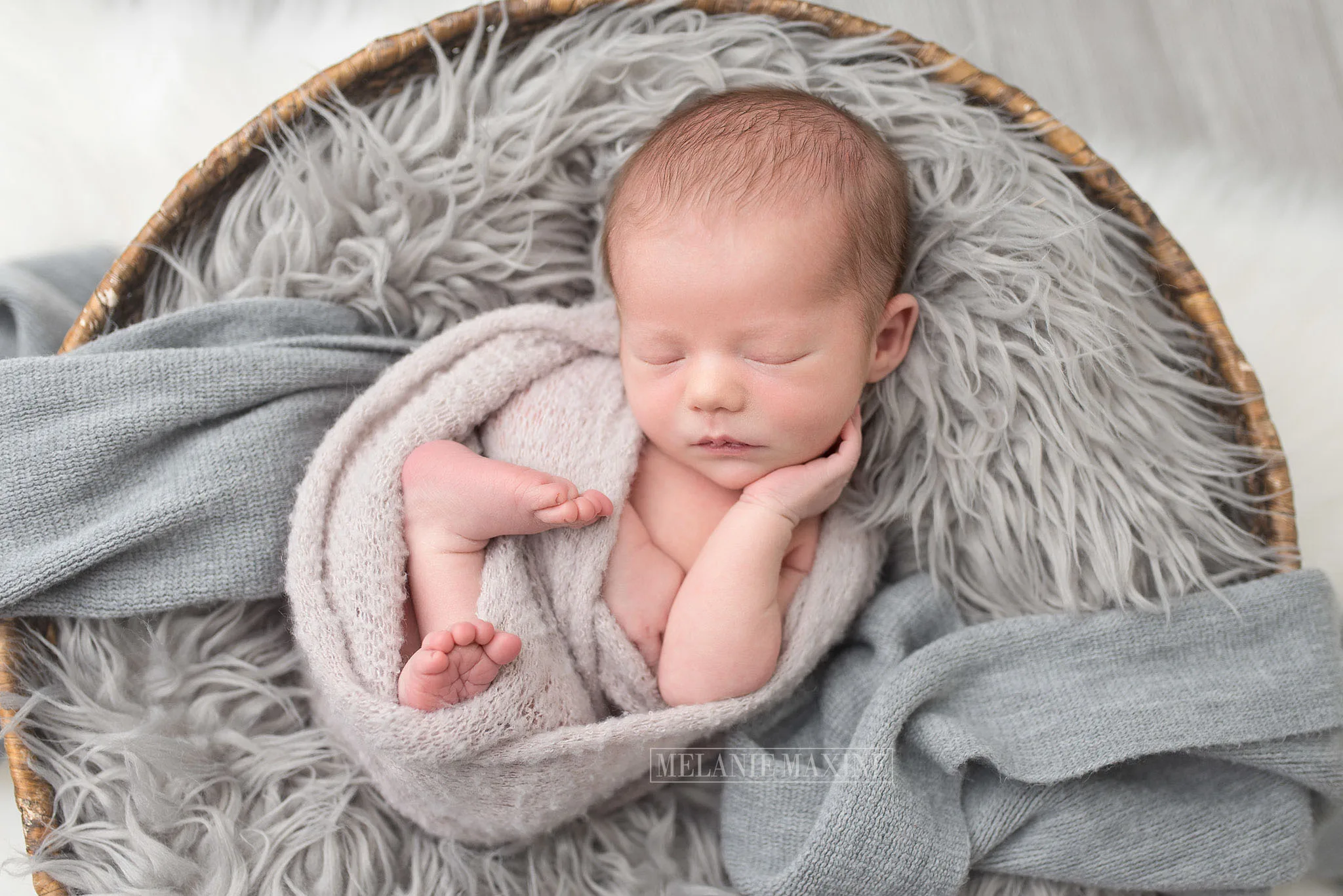 Newborn Photo Session