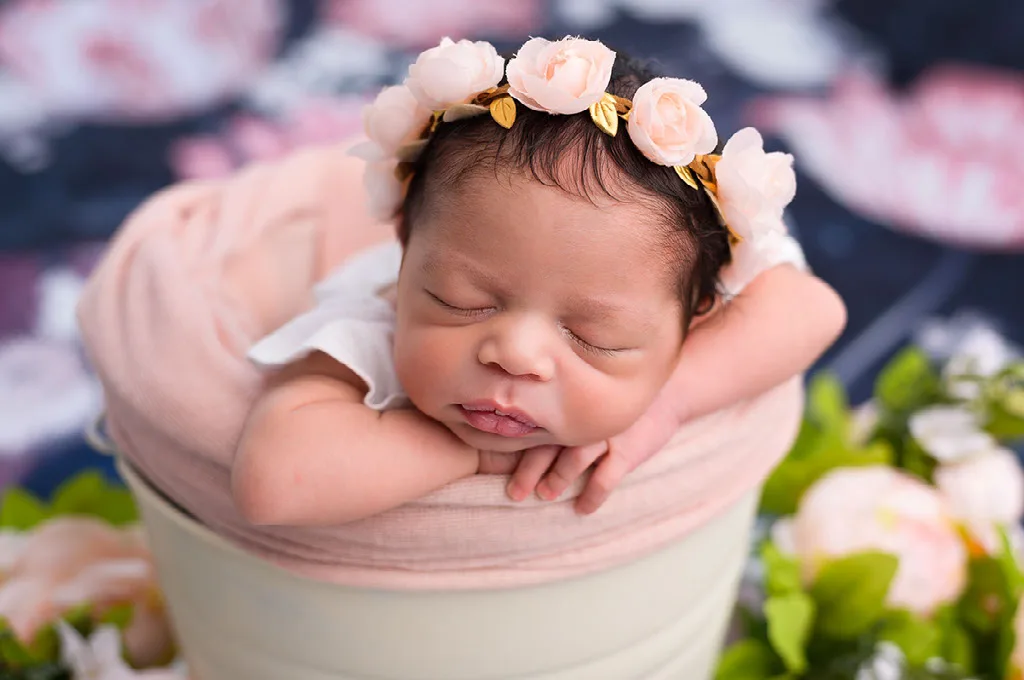 Newborn in a bucket Photo